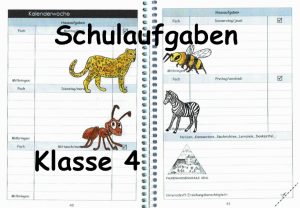 Read more about the article Schulaufgaben Klasse 4
